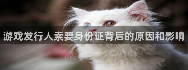 新宝gg―创造奇迹登录平台
