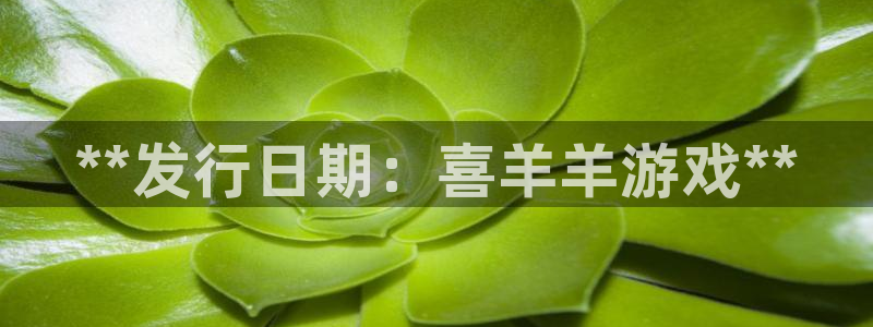 新宝gg手机版登录官网