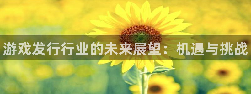 新宝gg一键登录：游戏发行行业的未来展望：机遇与挑战