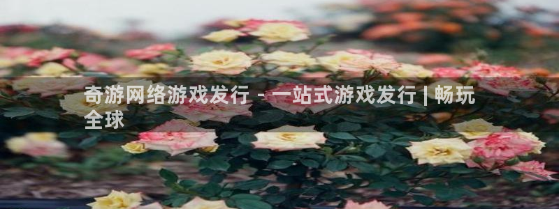 新宝gg6 创造奇迹：奇游网络游戏发行 - 一站式游戏发行 | 畅玩
全球