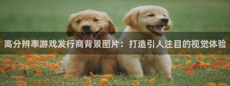新宝gg一创造奇迹登：高分辨率游戏发行商背景图片：打造引人注目的视觉体验
