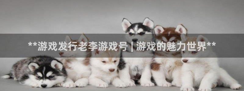 新宝GG平台招商：**游戏发行老李游戏号 | 游戏的魅力世界**