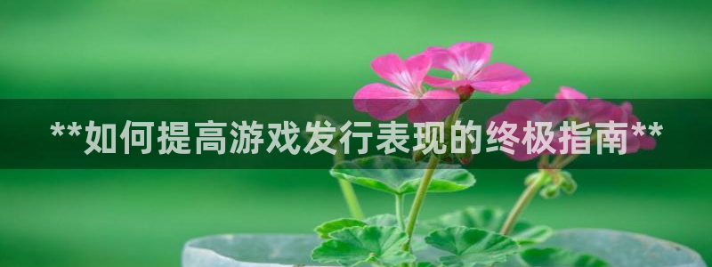新宝gg创造奇迹会员注册登录：**如何提高游戏发行表现的终极指南**
