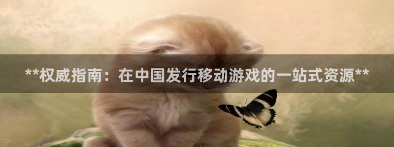 新宝gg创造奇迹平台怎么样：**权威指南：在中国发行移动游戏的一站式资源**