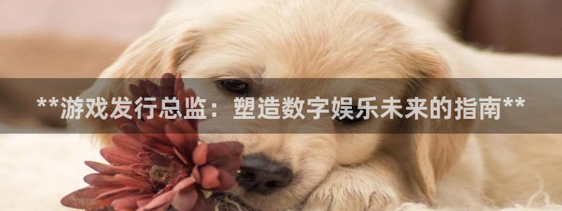 新宝GG创造奇迹客服怎么联系：**游戏发行总监：塑造数字娱乐未来的指南**