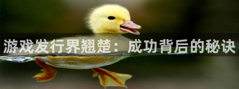 新宝gg怎么登录不上去了了：游戏发行界翘楚：成功背后的秘诀