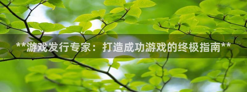 新宝gg平台注册：**游戏发行专家：打造成功游戏的终极指南**