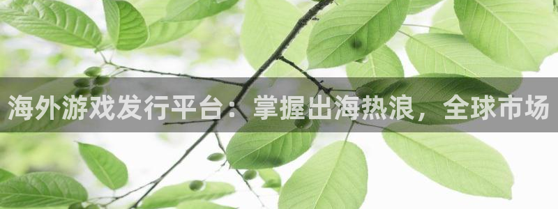 新宝gg登录不了是什么原因：海外游戏发行平台：掌握出海热浪，全球市场
