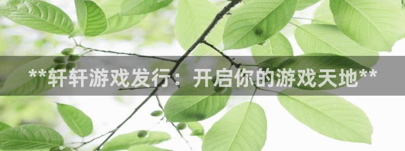 新宝gg创造奇迹官方登录入xb：**轩轩游戏发行：开启你的游戏天地**