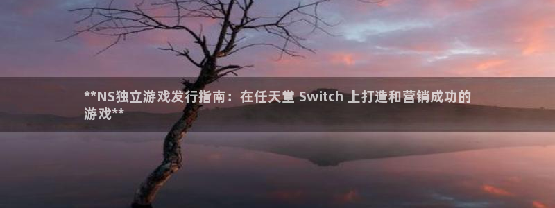 新宝测速gg：**NS独立游戏发行指南：在任天堂 Switch 上打造和营销成功的
游戏**