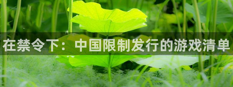新宝gg被抓：在禁令下：中国限制发行的游戏清单