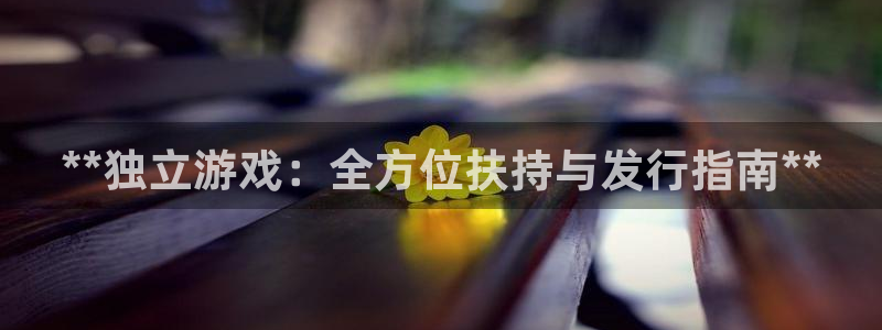 新宝gg一创造奇迹登陆新：**独立游戏：全方位扶持与发行指南**