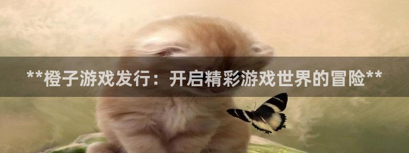 新宝GG平台负责人：**橙子游戏发行：开启精彩游戏世界的冒险**
