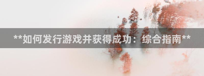 新宝gg创造奇迹登录注册入口：**如何发行游戏并获得成功：综合指南**