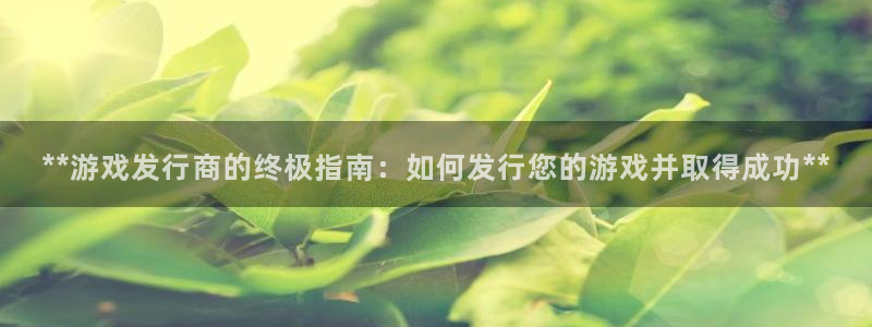 新宝GG平台负责人：**游戏发行商的终极指南：如何发行您的游戏并取得成功**