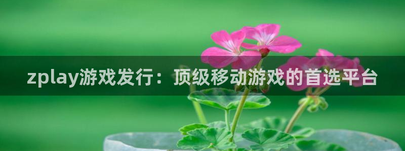 新宝gg一创造奇迹登录龙,虎,和：zplay游戏发行：顶级移动游戏的首选平台