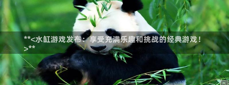 新宝gg创造奇迹登录首页：**<水缸游戏发布：享受充满乐趣和挑战的经典游戏！
>**