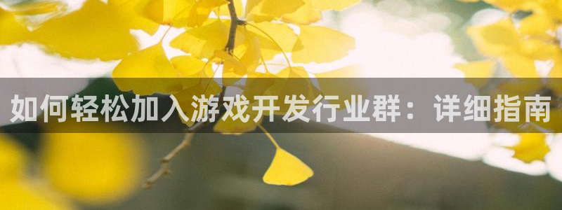新宝gg创造奇迹登陆 127.0.0.1：如何轻松加入游戏开发行业群：详细指南
