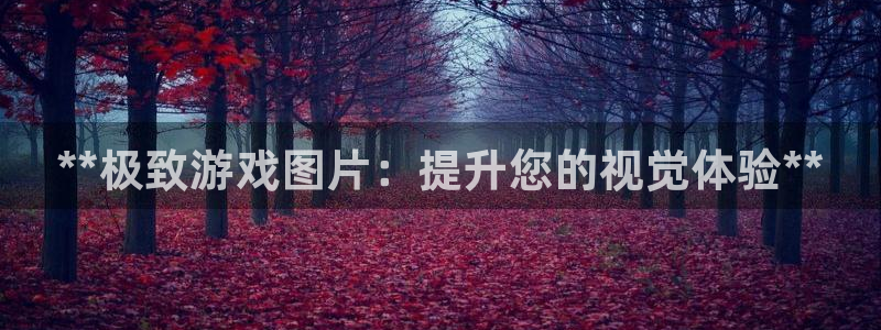 新宝GG创奇迹：**极致游戏图片：提升您的视觉体验**