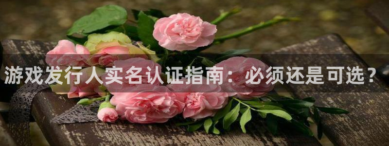 新宝gg平台注册官网：游戏发行人实名认证指南：必须还是可选？