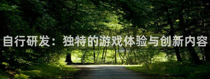 新宝gg登录入口