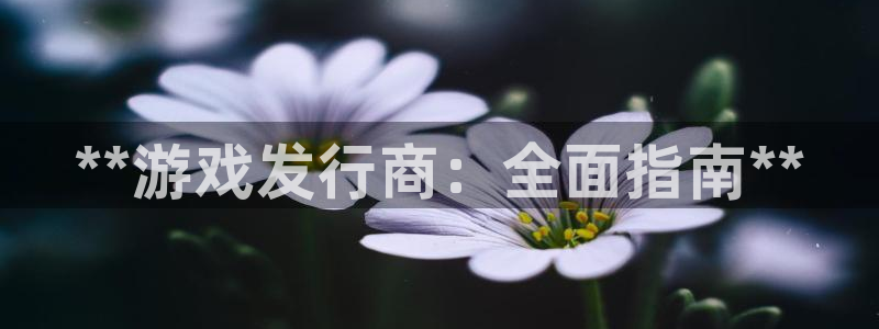 新宝gg平台登录手机版：**游戏发行商：全面指南**