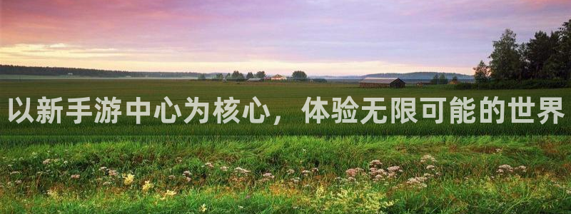 新宝gg平台