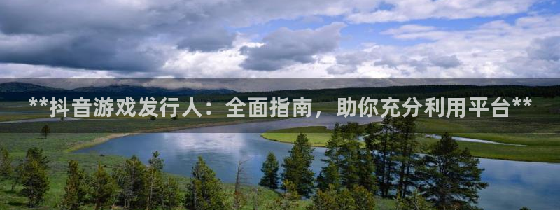 新宝gg一创造奇迹登陆：**抖音游戏发行人：全面指南，助你充分利用平台**