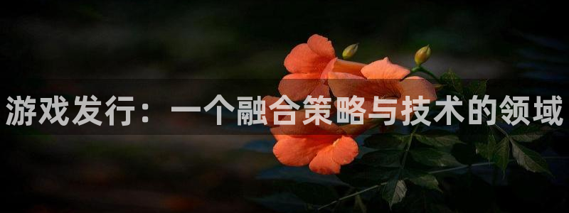 新宝gg登录入口