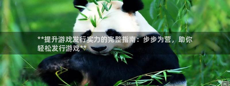 新宝gg__创造奇迹登录：**提升游戏发行实力的完整指南：步步为营，助你
轻松发行游戏**