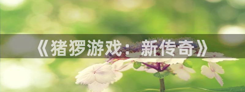 新宝gg招商主管：《猪猡游戏：新传奇》