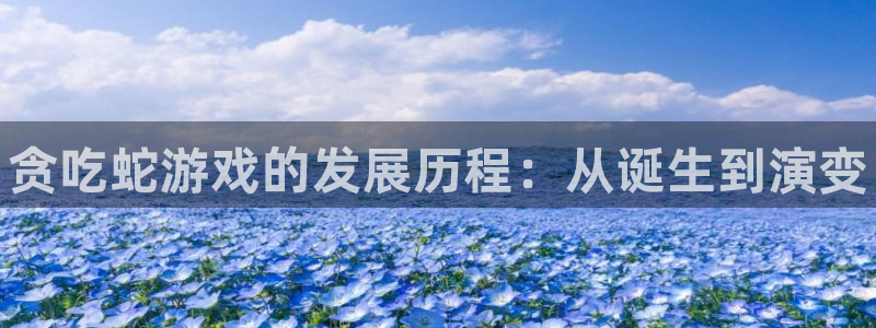 新宝gg登录不上去了：贪吃蛇游戏的发展历程：从诞生到演变