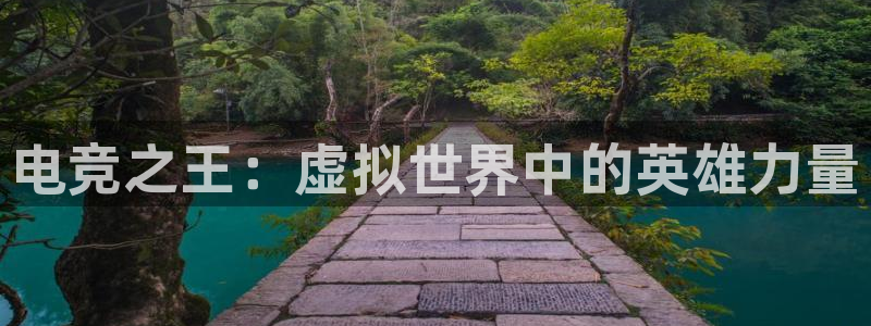 新宝gg一创造奇迹用户登录：电竞之王：虚拟世界中的英雄力量