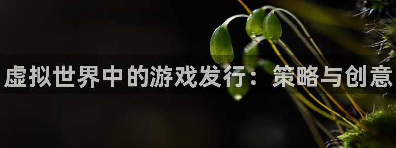 新宝gg官网最新版本更新内容介绍