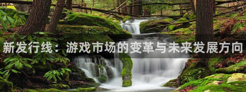 新宝gg创造奇迹登录注册玩法：新发行线：游戏市场的变革与未来发展方向