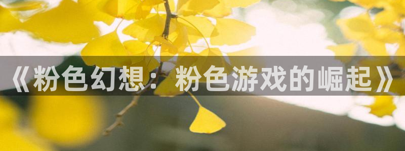 新宝gg官网登录地址：《粉色幻想：粉色游戏的崛起》